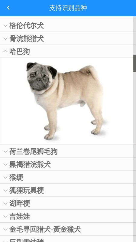 哈狗识别APP