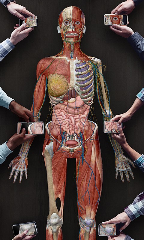 人体解剖3d教学软件