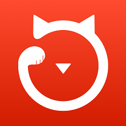 鼎税猫app