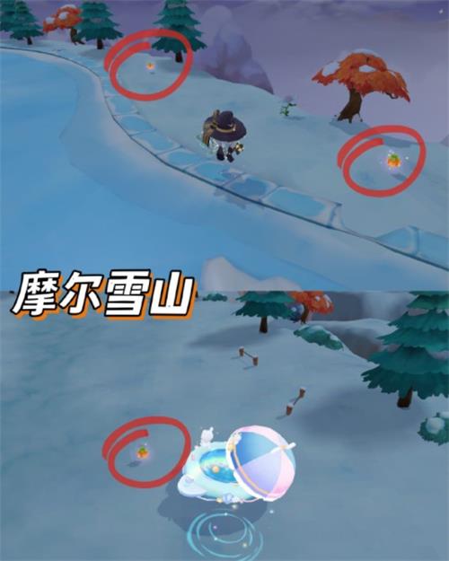 摩尔庄园派对星花在哪里找 派对星花位置分布详情