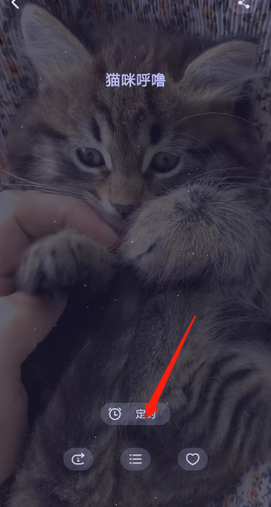 猫耳fm专注模式定时关闭如何开 专注模式定时关闭设置具体教程