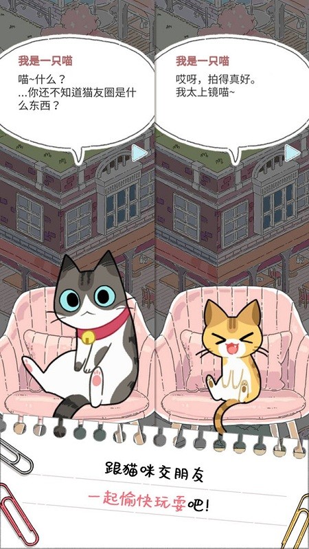 猫友圈破解版