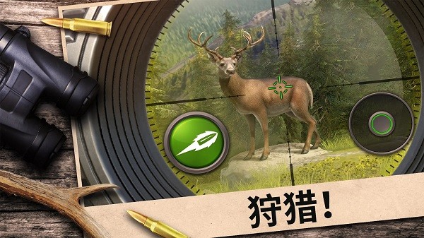 疯狂丛林大冒险最新版