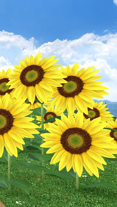 逃脱游戏盂兰盆节游戏