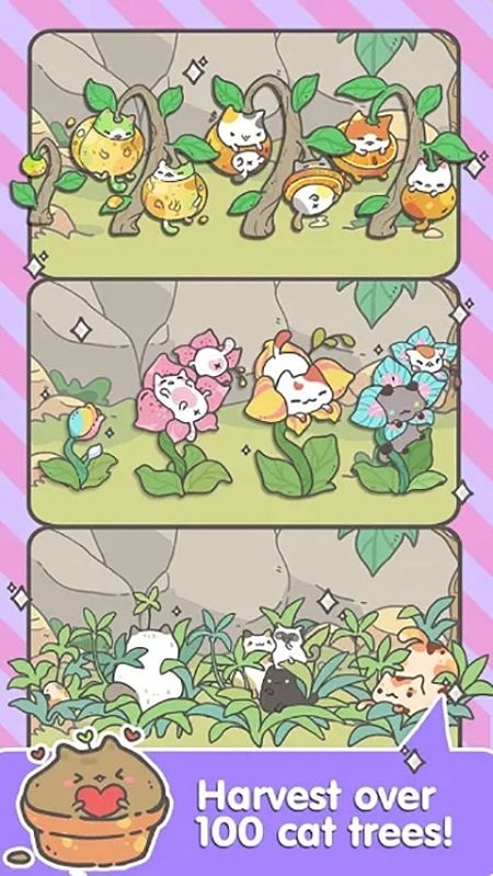 我的猫头鹰游戏