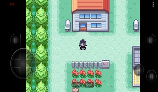 口袋妖怪究极之路最新版