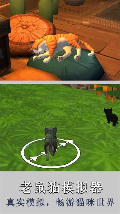 老鼠猫模拟器游戏