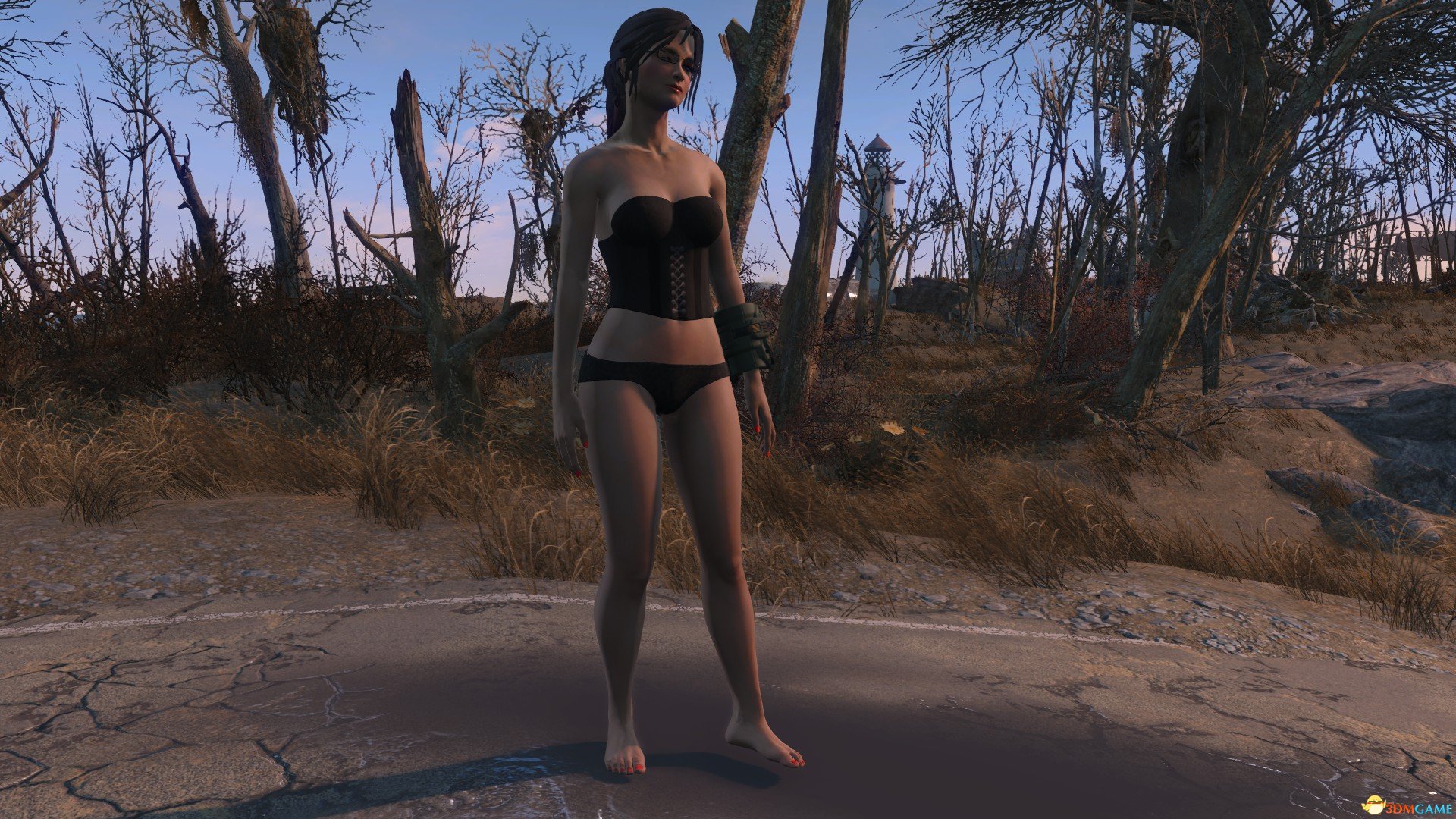 辐射4 女士内衣MOD 漂亮吊带性感内衣MOD合集