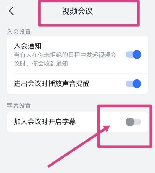 飞书如何设置视频会议字幕 开启视频会议字幕步骤教程