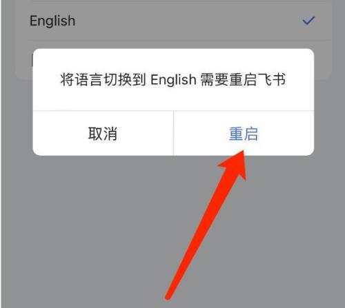飞书如何切换语言 切换语言操作步骤教程