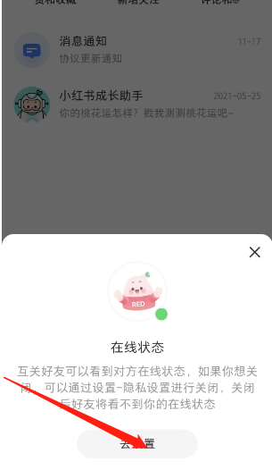 小红书个人在线状态如何关闭 个人在线状态关闭攻略大全