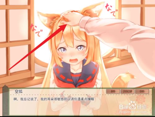 我与空狐的日常攻略