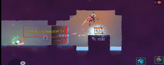 《死亡细胞》月光花朵有什么用？