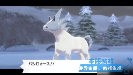 《宝可梦剑盾》雪暴马怎么获取 雪暴马获取方法分享