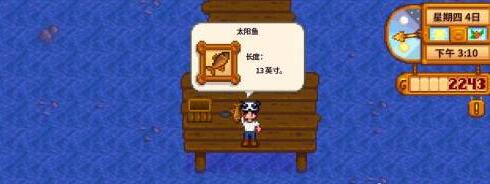 《星露谷物语》太阳鱼在哪钓？