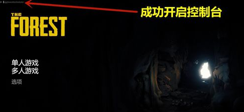 森林怎么打开控制台？
