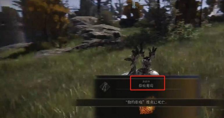 《艾尔登法环》指痕葡萄在哪？指痕葡萄获得方法介绍