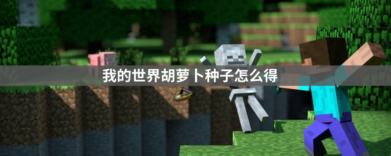 我的世界胡萝卜种子如何获得