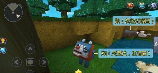 《迷你世界》怎么驯服狼当坐骑？