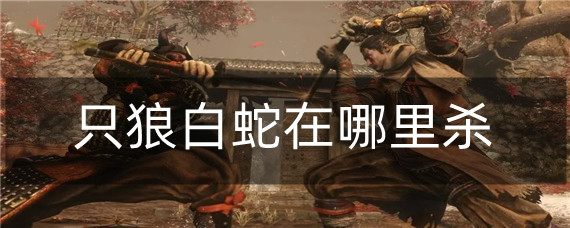 只狼白蛇在哪里杀？