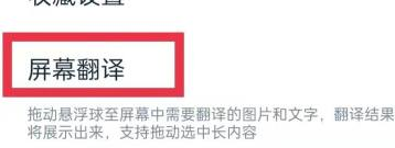 有道翻译官如何开启屏幕翻译 设置屏幕翻译步骤攻略