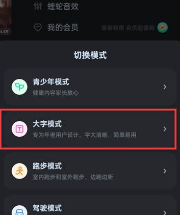 酷狗音乐在哪里开启大字模式 设置大字模式详细教程
