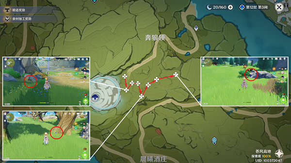 原神在哪里可以找到钩钩果 钩钩果最佳采集路线介绍