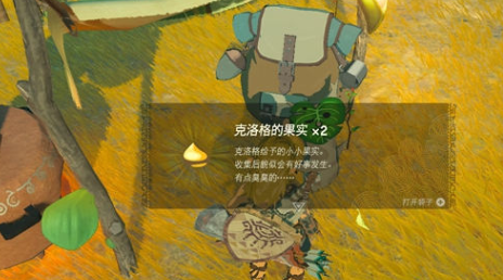 塞尔达传说王国之泪呀哈哈是什么 解救克洛格打法攻略
