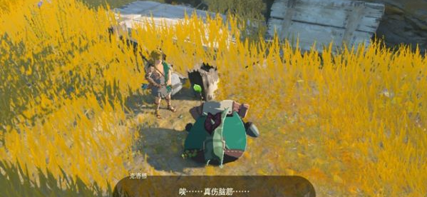 塞尔达传说王国之泪呀哈哈是什么 解救克洛格打法攻略