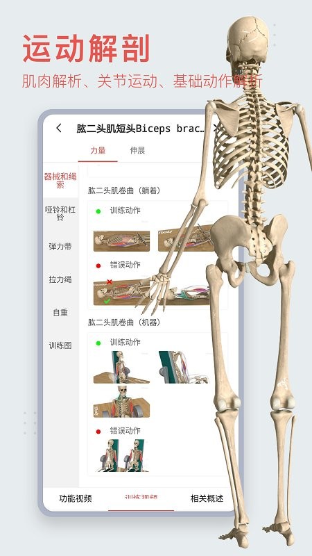 3dbody人体解剖学app