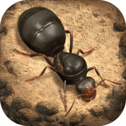 模拟地下蚁国手机版(小小蚁国)