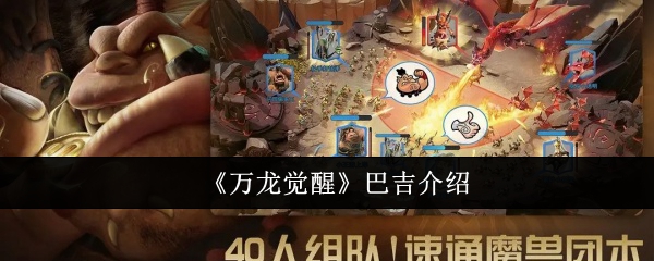 万龙觉醒巴吉有什么属性特点 巴吉强度测评介绍