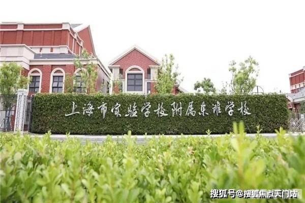 163聊天,手游巨头163聊天室：揭秘顶级攻略与独家玩法