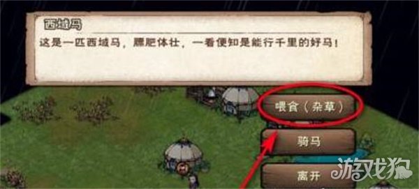 烟雨江湖西域马怎么骑 详细骑乘攻略