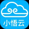 小悟云(云电脑)