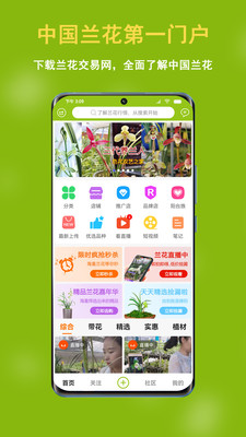 中国兰花交易网