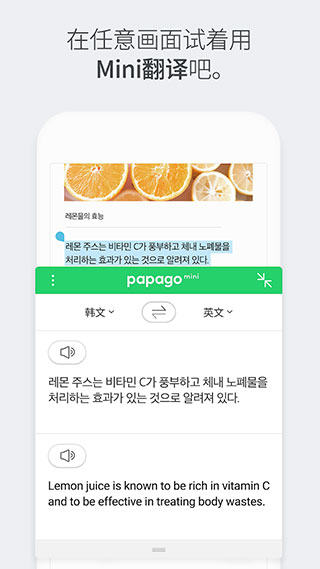Papago APP