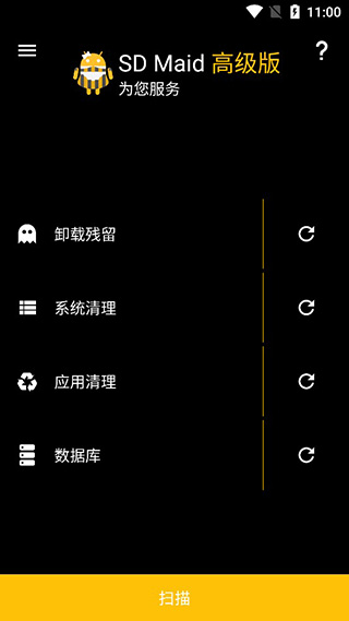 SD女佣专业版(SD Maid Pro)