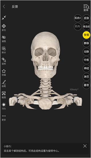 3Dbody解剖APP
