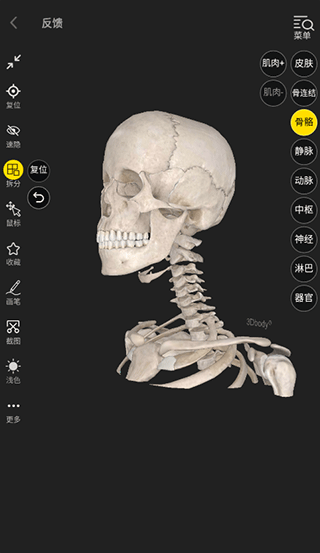 3Dbody解剖APP