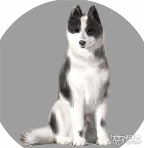 一梦江湖宠物养成新玩法 萌宠们的养成攻略