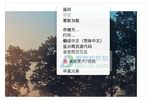 花瓣网APP