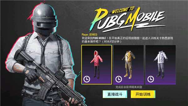 和平精英国际服pubg