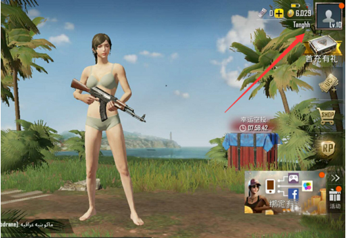 和平精英国际服pubg
