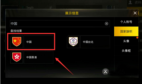 和平精英国际服pubg
