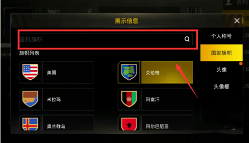 和平精英国际服pubg