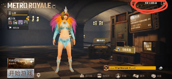 和平精英国际服pubg