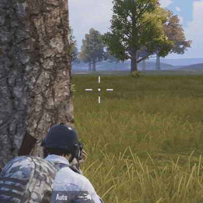 和平精英国际服pubg