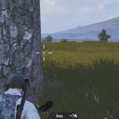 和平精英国际服pubg