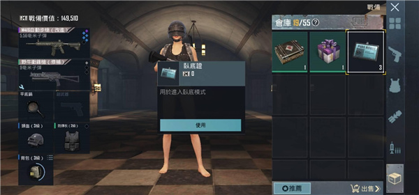 和平精英国际服pubg